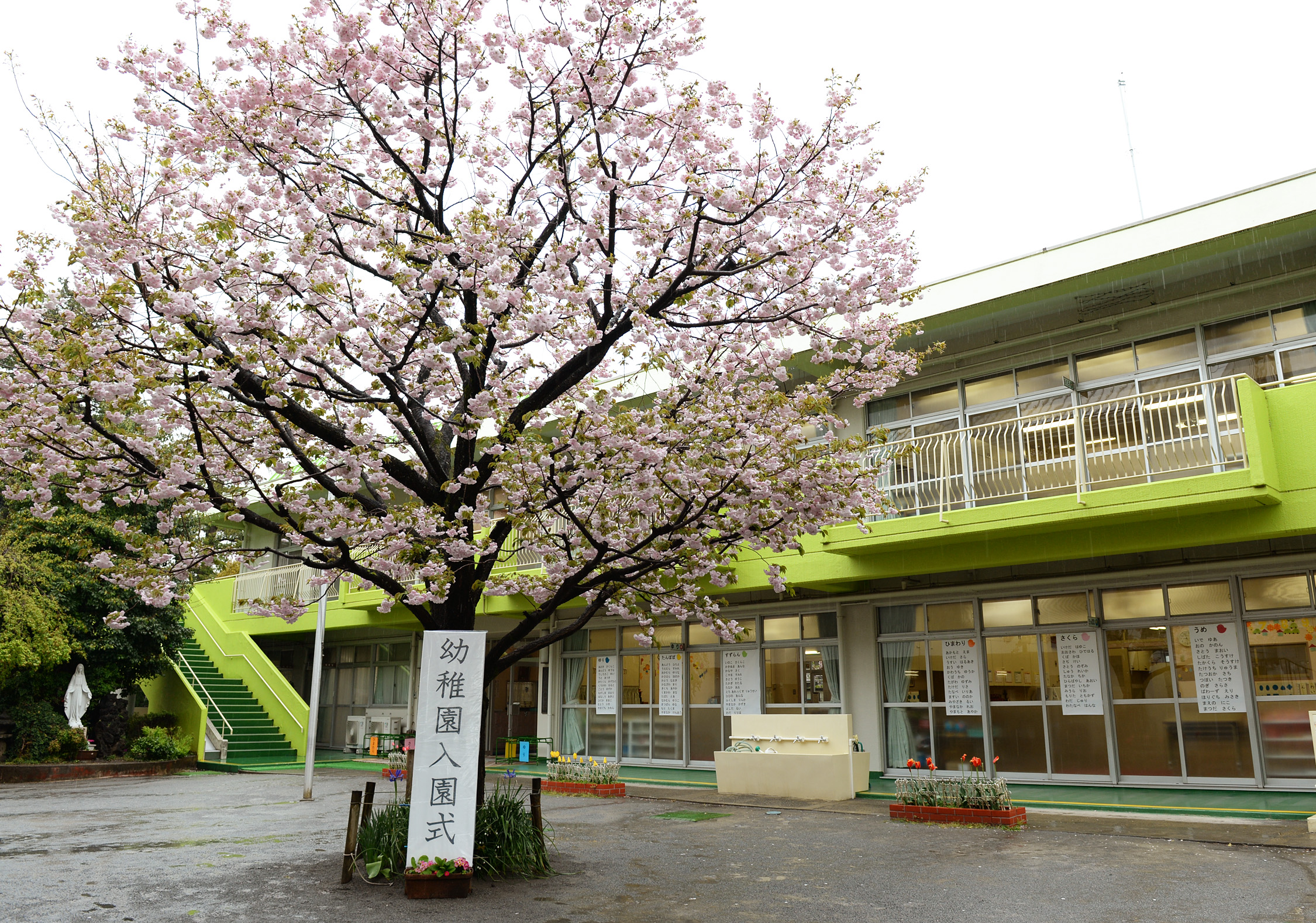 入園式 ドミニコブログ 聖ドミニコ学園幼稚園