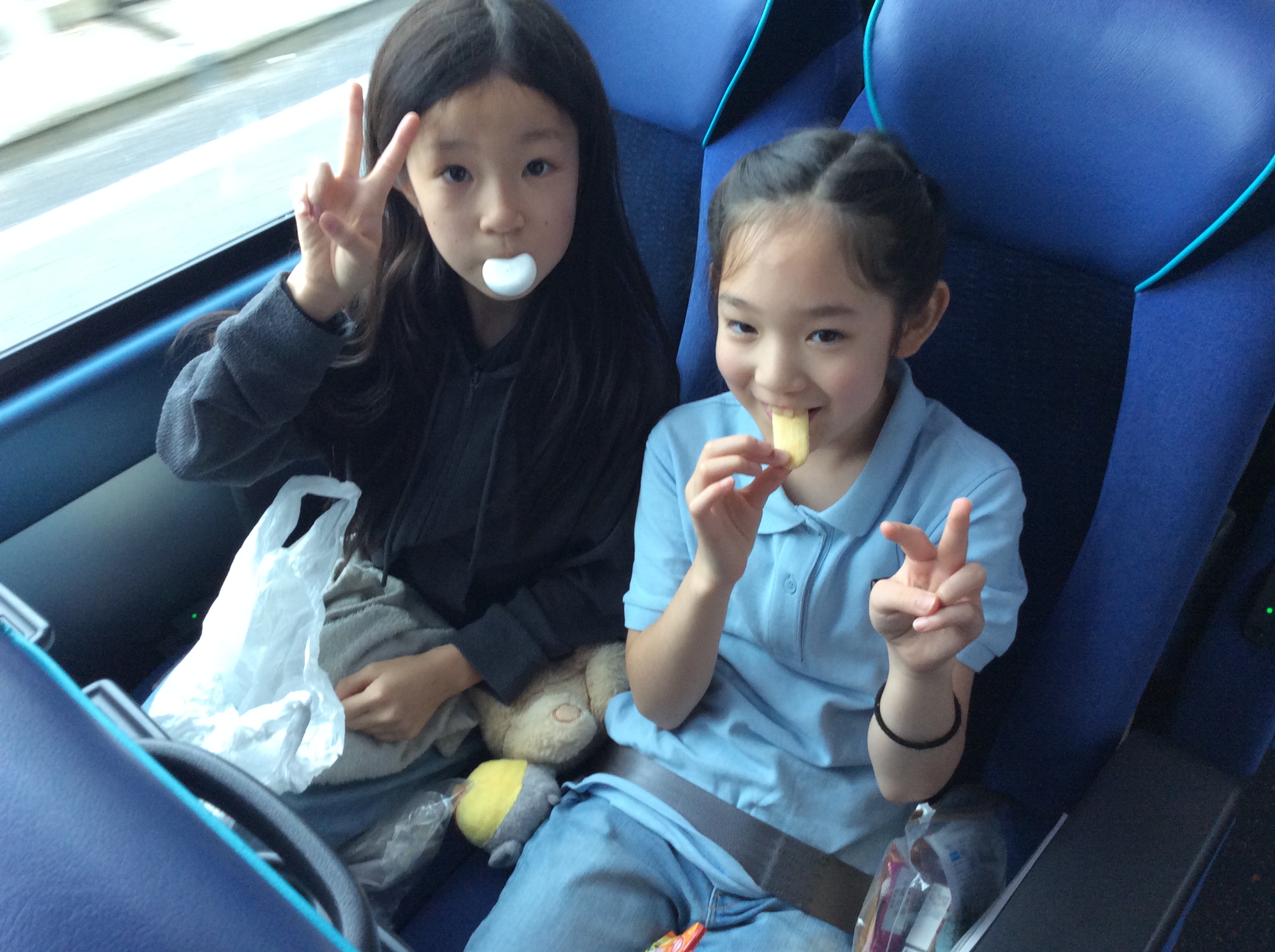 手造りのいかだで飛び出した！！ お知らせ | 聖ドミニコ学園小学校