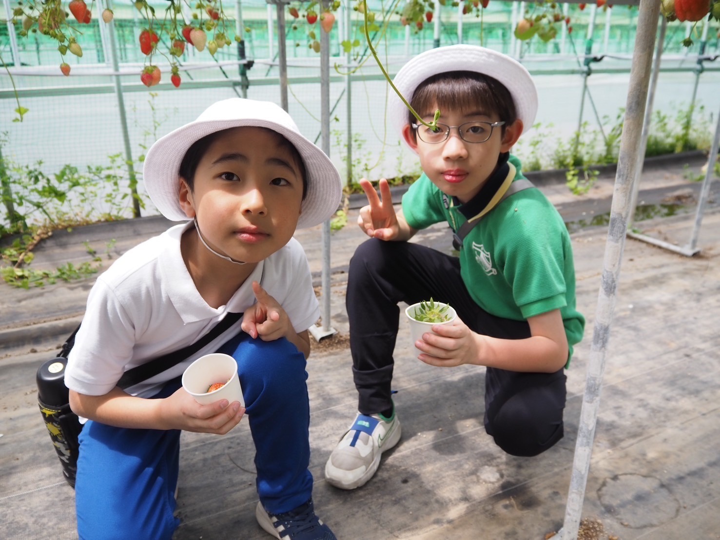 甘くておいしいね♪【林間学校4年生3日目】 お知らせ | 聖ドミニコ